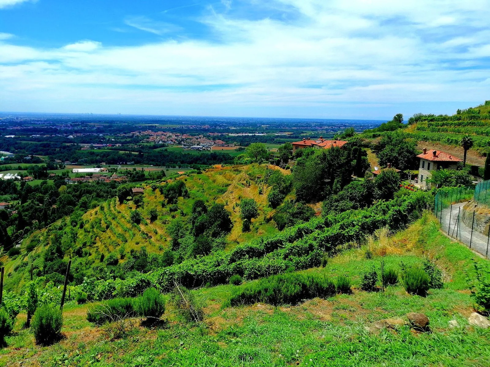 Vigneti terrazzati sulle colline di Montevecchia con vista sulla pianura lombarda
