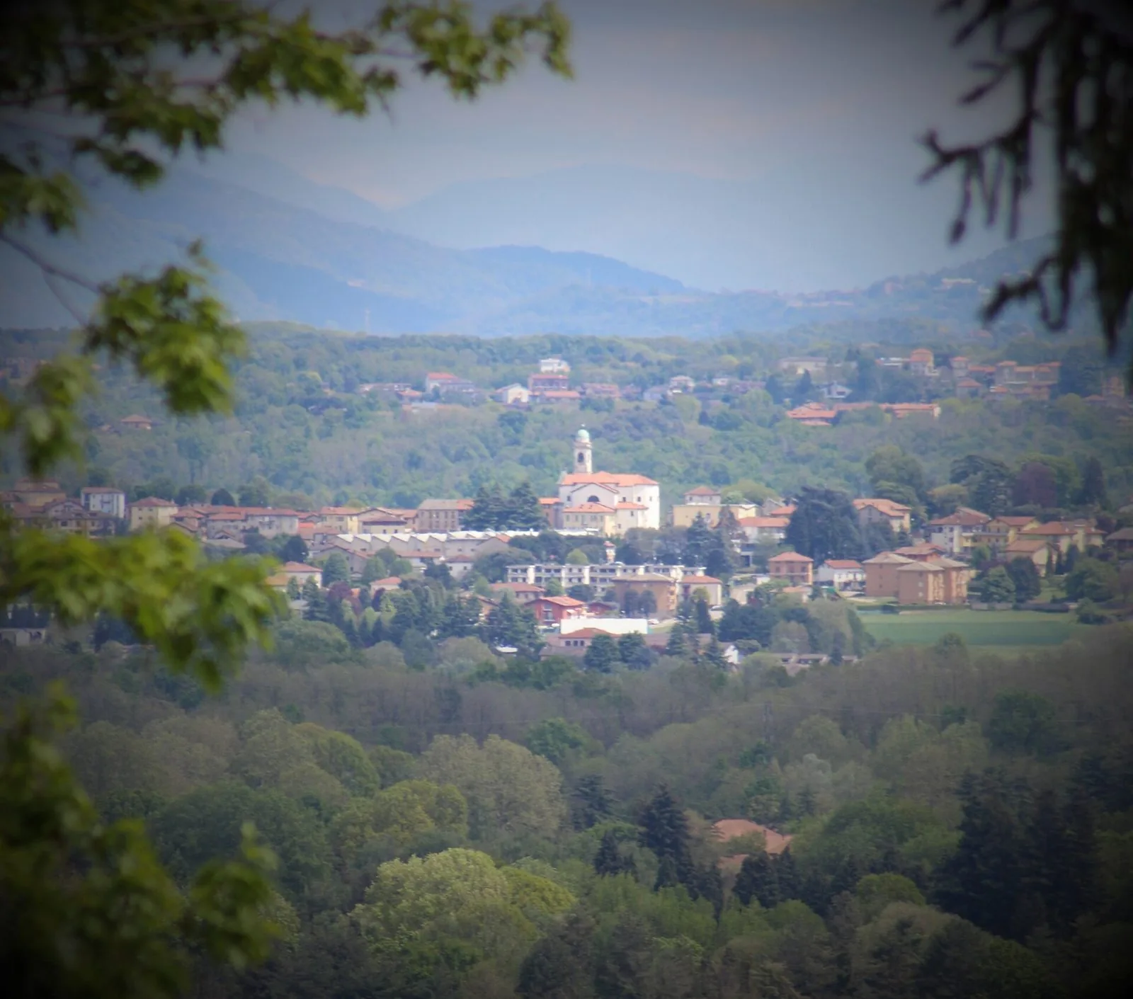 Panorama di Casnate con Bernate tra i boschi delle colline a sud di Como, con le montagne sullo sfondo